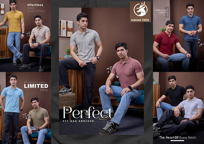 Lot No 246 Aquaa Tees Matty Mens Tshirts Supplier Gujarat