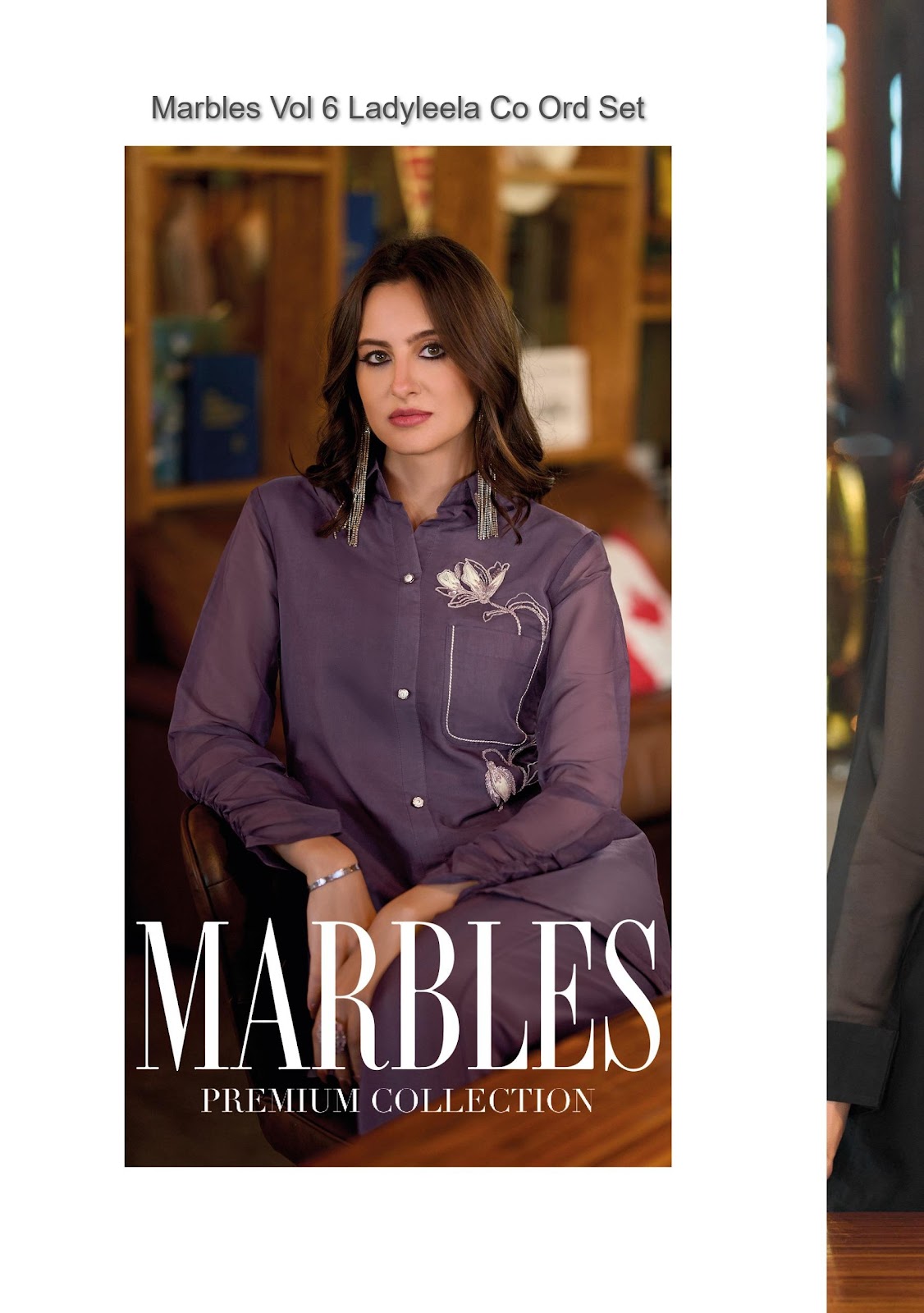 Marbles Vol 6 Ladyleela Viscose Organza Co Ord Set Manufacturer Gujarat