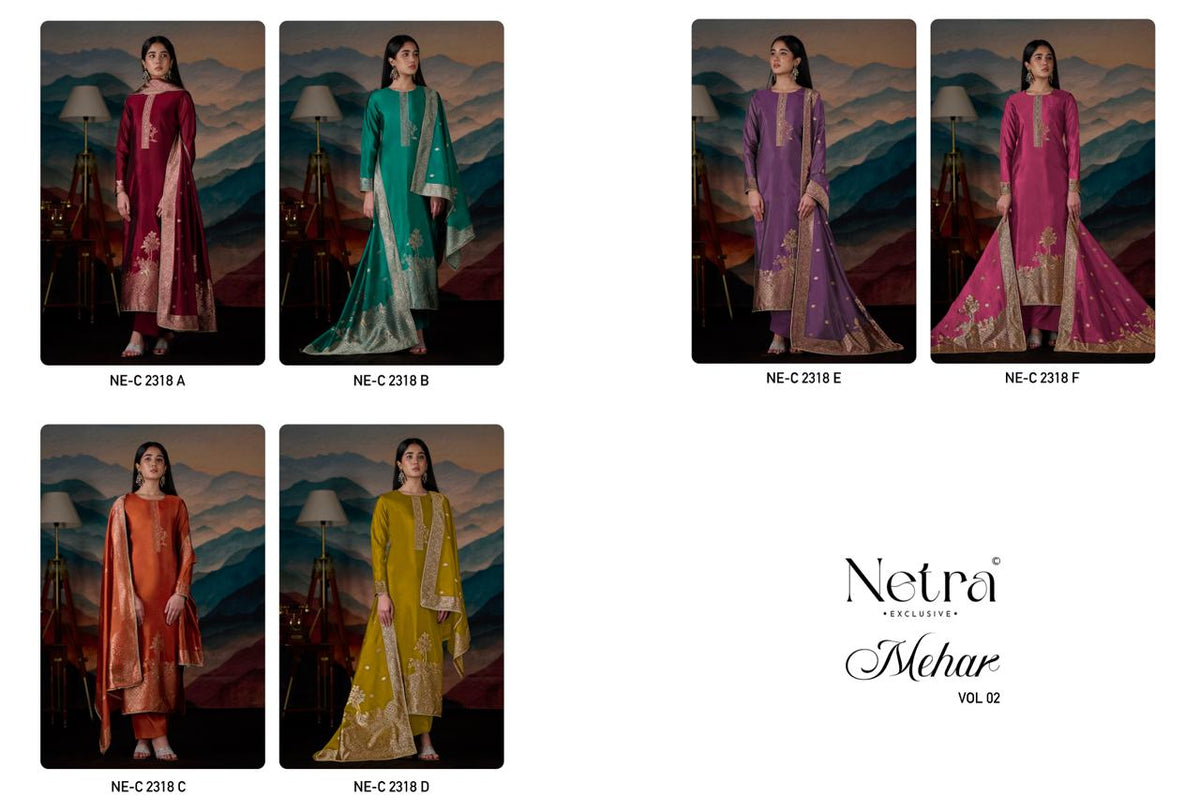 Mehar Vol 2 Netra Woven Silk Pant Style Suits Wholesale Price