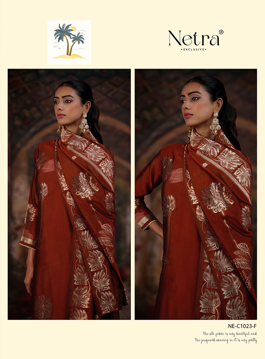 Nada Netra Premium Viscose Pant Style Suits Exporter India
