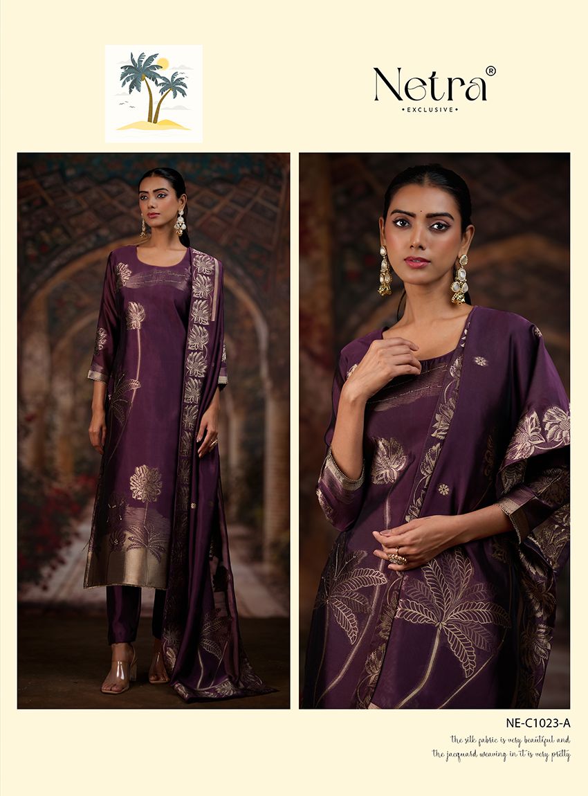 Nada Netra Premium Viscose Pant Style Suits Exporter India