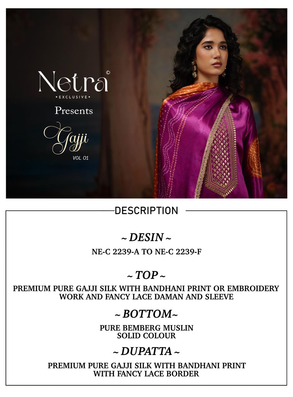 New Colour Gajji Vol 1 Netra Pant Style Suits Exporter