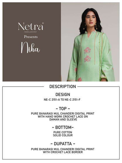Niha Netra Banarasi Pant Style Suits Supplier Ahmedabad