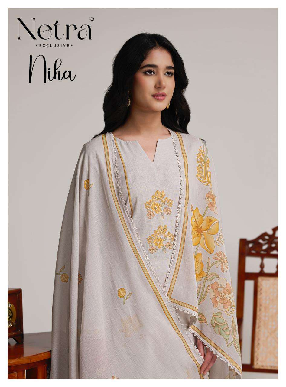 Niha Netra Banarasi Pant Style Suits Supplier Ahmedabad