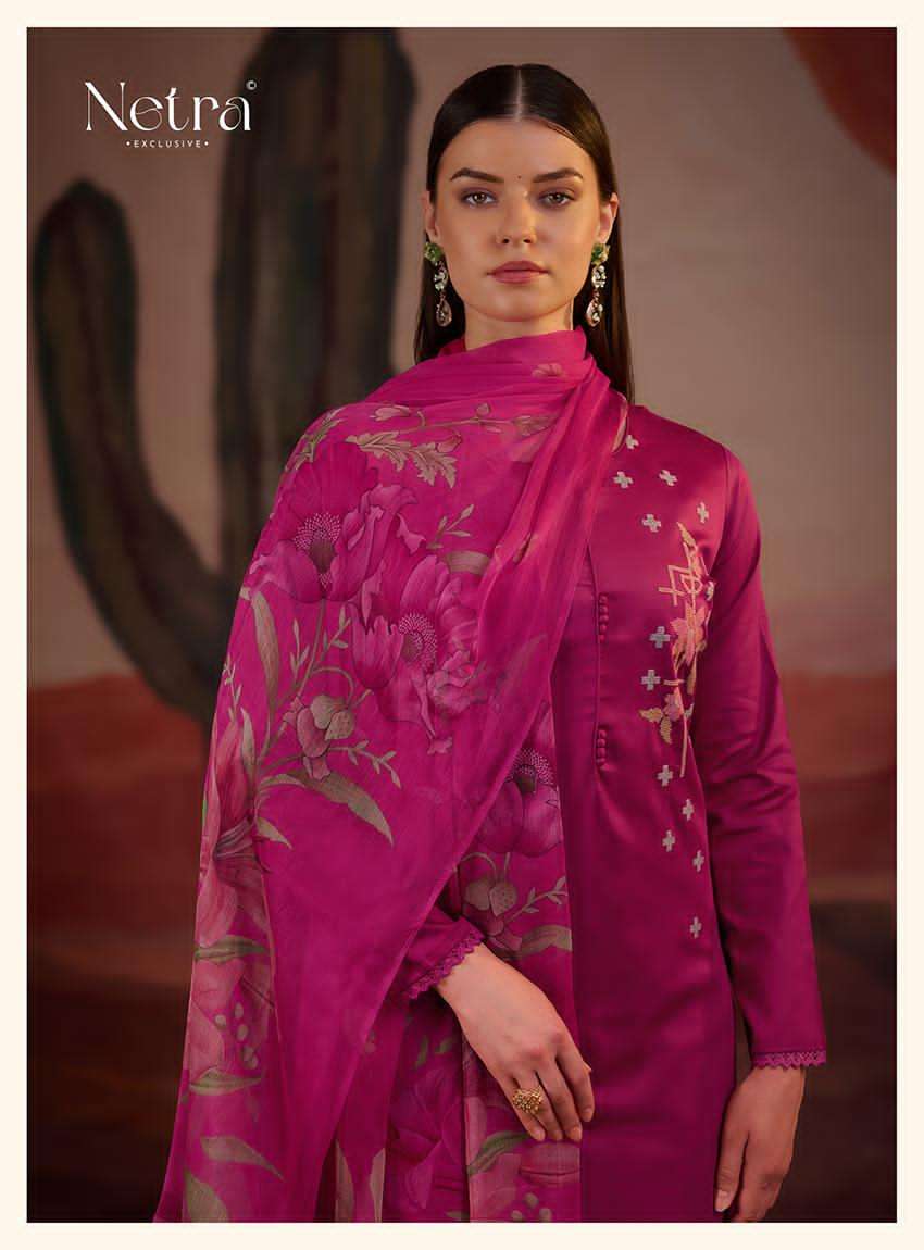 nirali netra premium cotton pant style suits supplier india