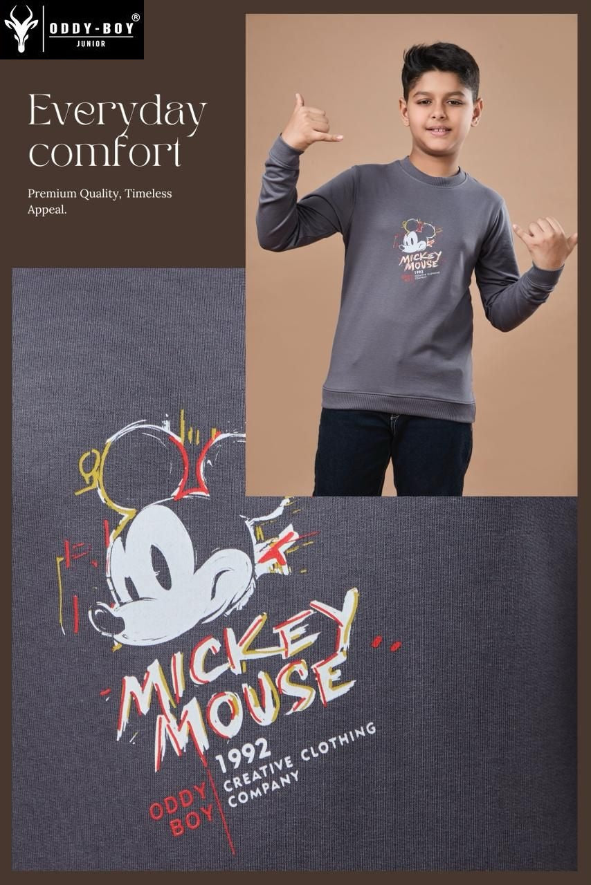 Obj 243 Ab Oddy Boy Cotton Looper Boys Tshirt Wholesale