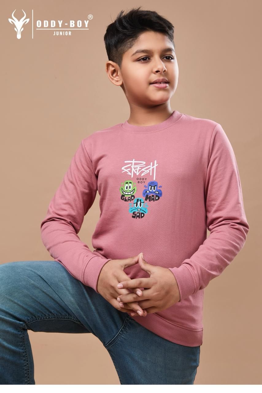 Obj 243 Ab Oddy Boy Cotton Looper Boys Tshirt Wholesale