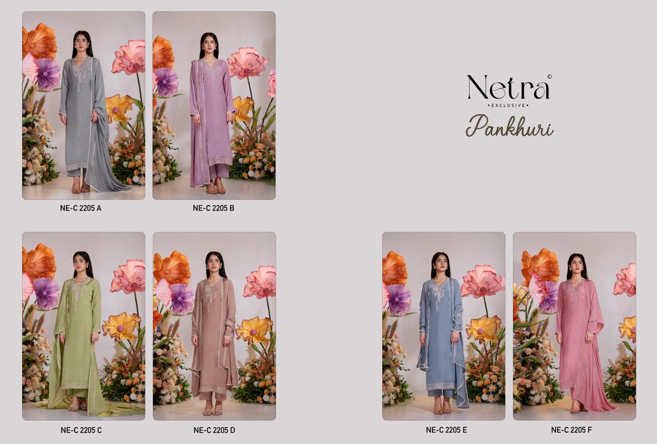 Pankhuri Netra Bemberg Muslin Pant Style Suits Wholesaler Gujarat