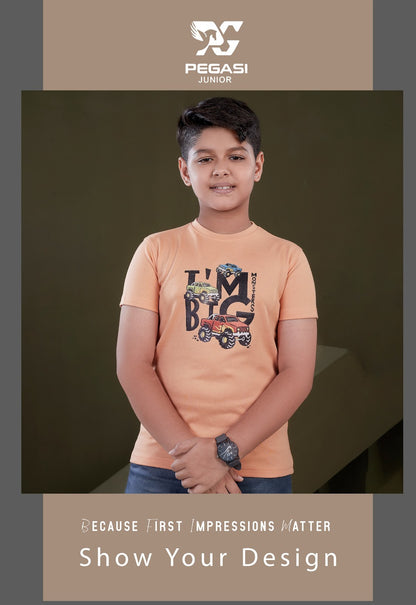 Pj0015 Pegasi Canvas Boys Tshirt Exporter Ahmedabad
