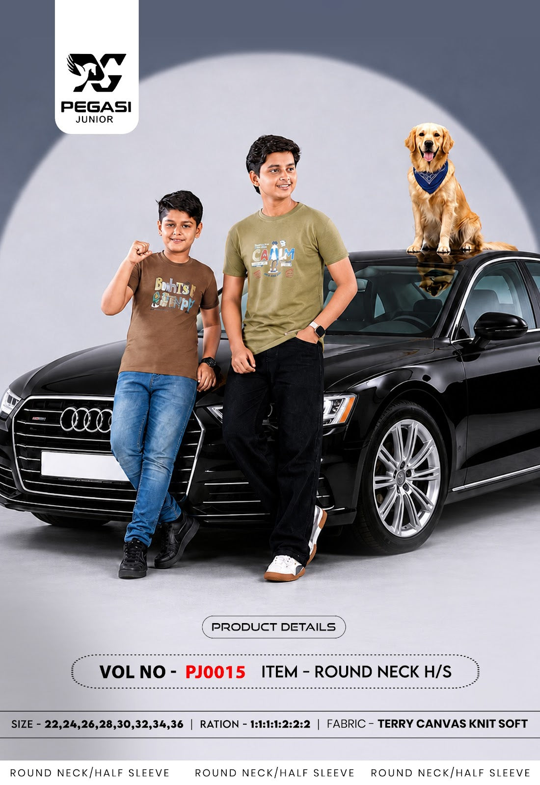 Pj0015 Pegasi Canvas Boys Tshirt Exporter Ahmedabad