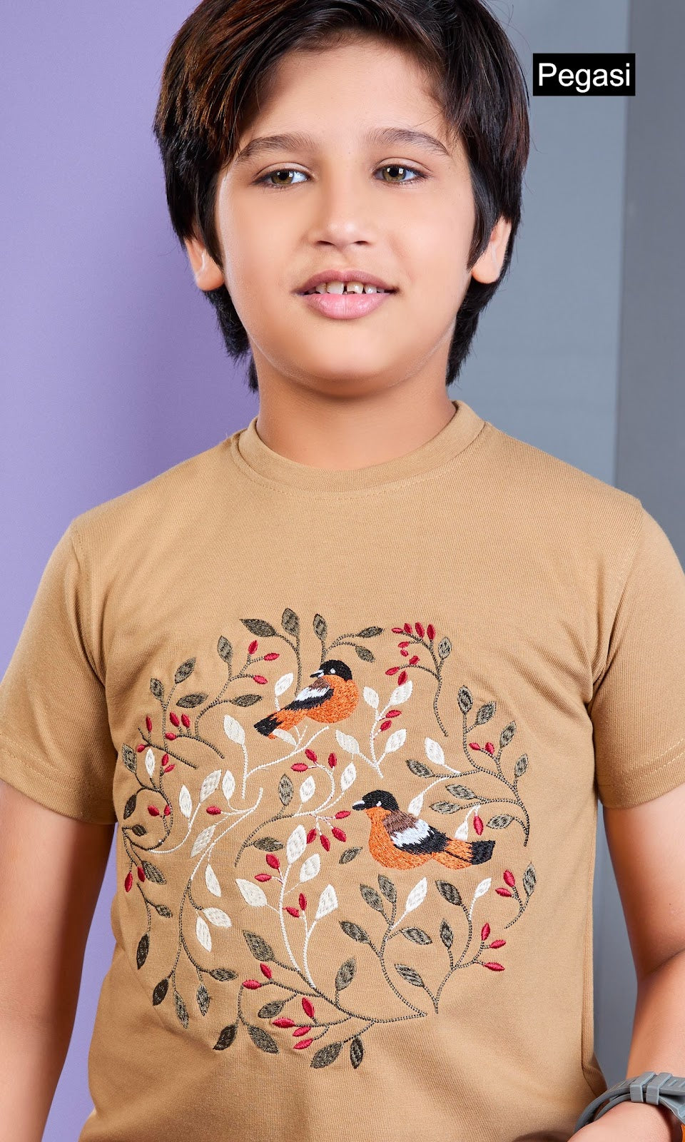 Pj0017 Pegasi Fancy Boys Tshirt Exporter
