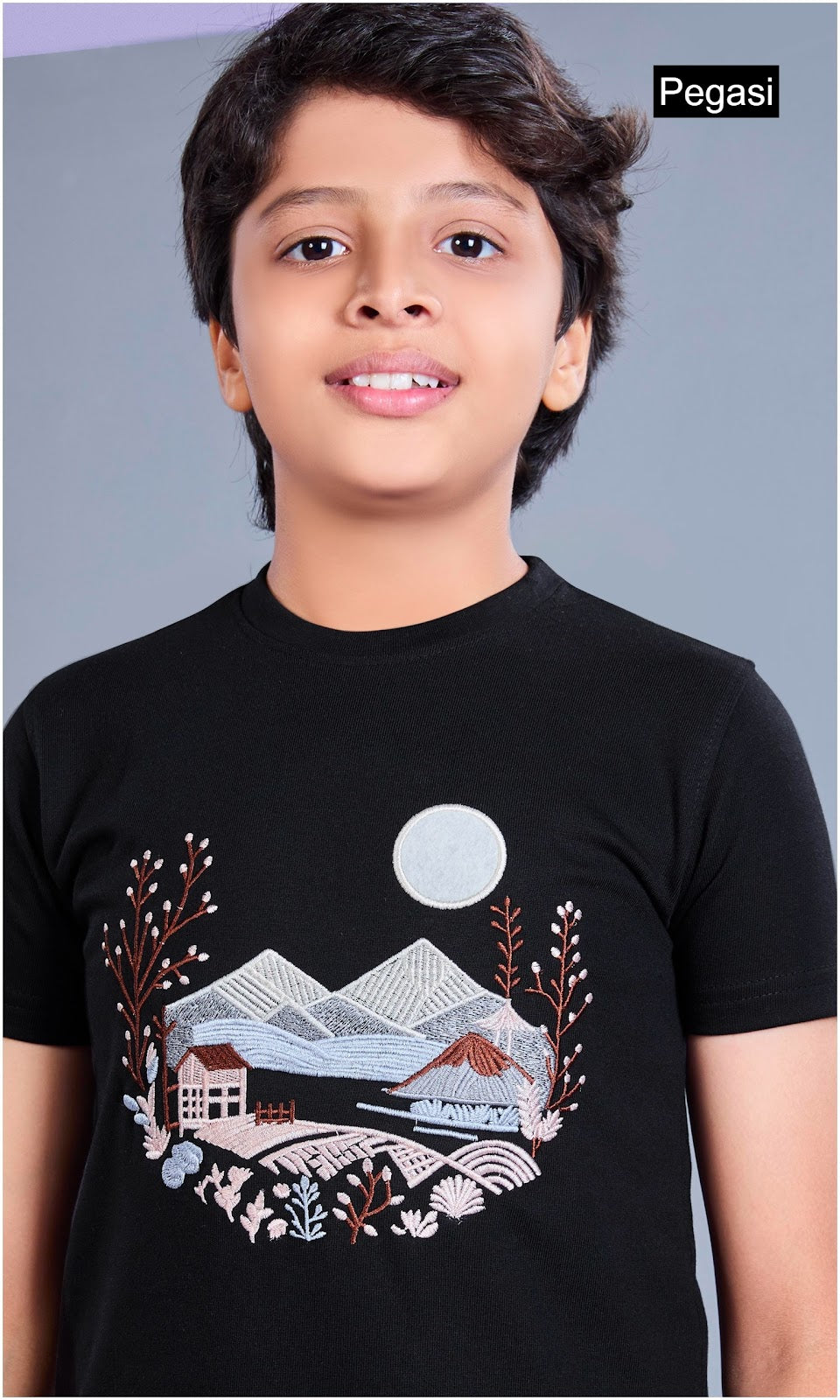Pj0017 Pegasi Fancy Boys Tshirt Exporter