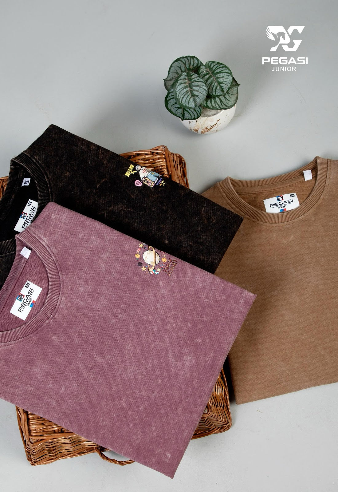 Pj009 Pegasi Canvas Looper Boys Tshirt Wholesaler Gujarat