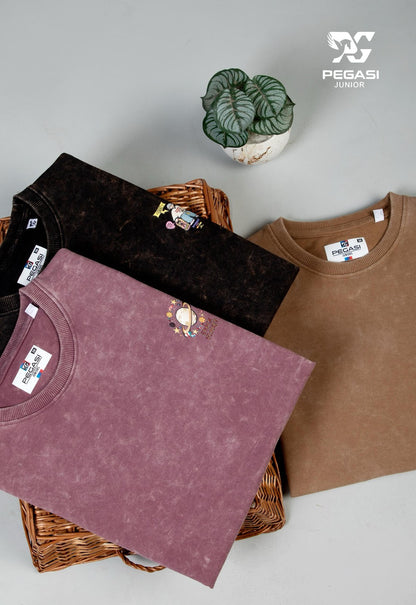 Pj009 Pegasi Canvas Looper Boys Tshirt Wholesaler Gujarat