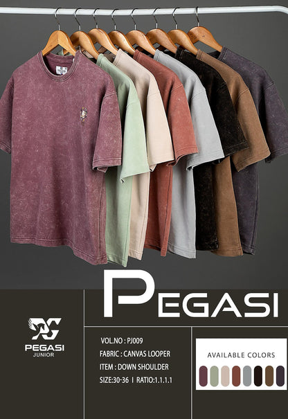 Pj009 Pegasi Canvas Looper Boys Tshirt Wholesaler Gujarat