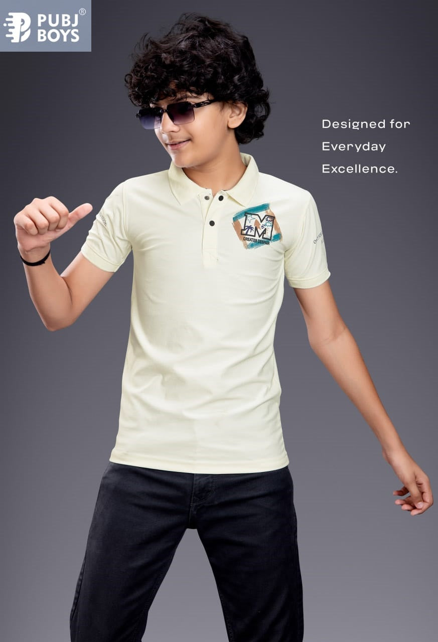 Pk 26 Collar Pubj Fake Cotton Boys Tshirt Exporter Ahmedabad