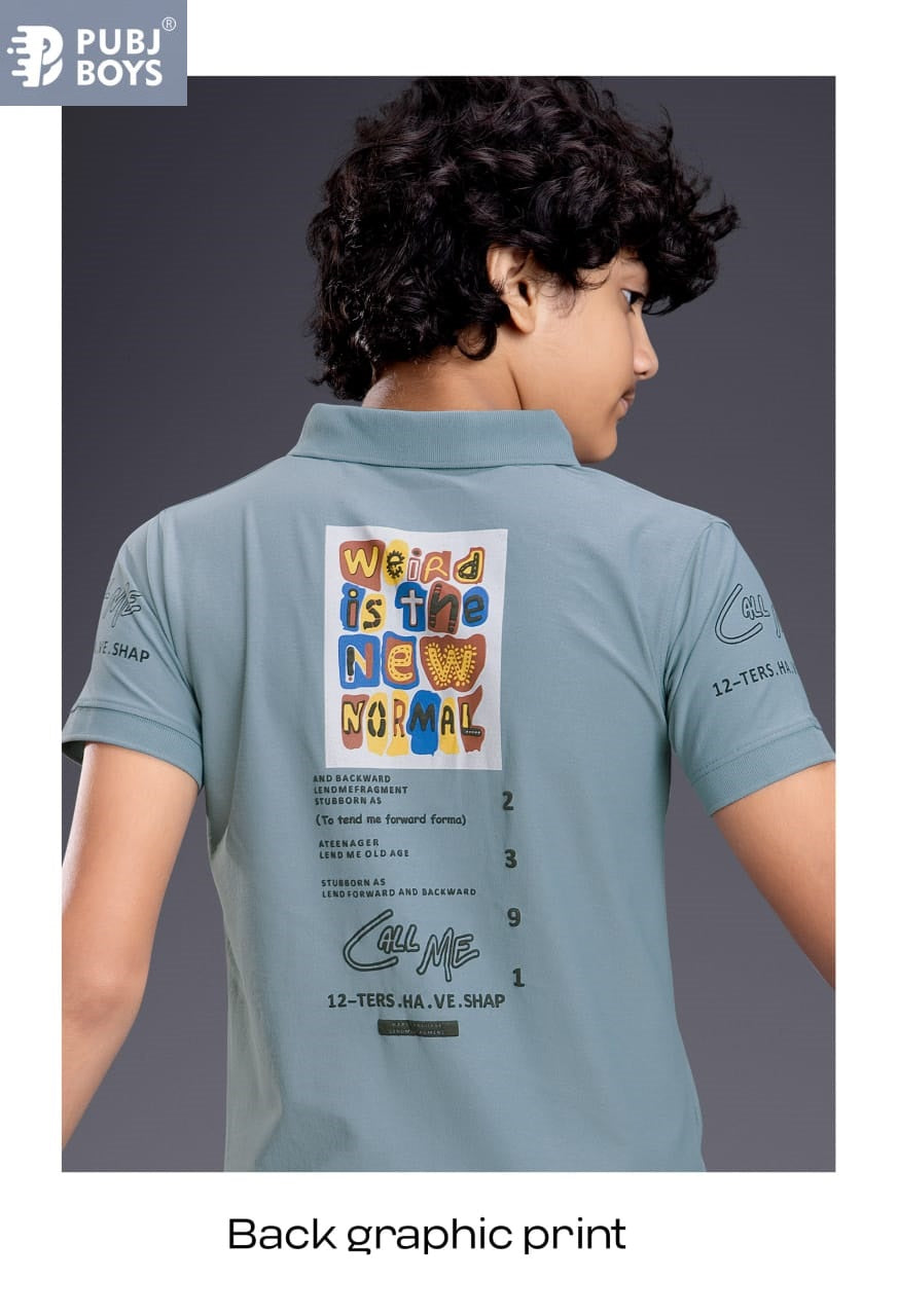 Pk 26 Collar Pubj Fake Cotton Boys Tshirt Exporter Ahmedabad