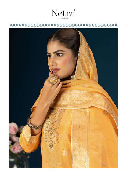 Priya Netra Simmer Pant Style Suits Manufacturer