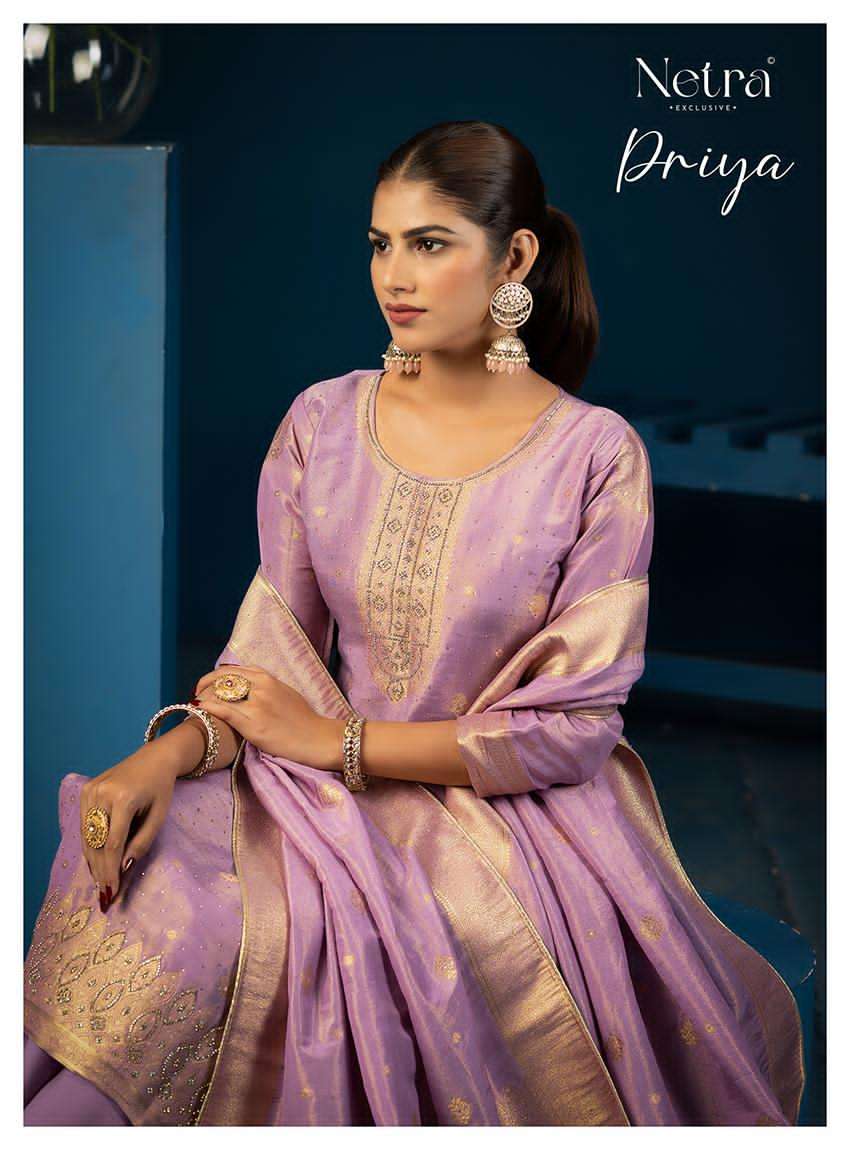 Priya Netra Simmer Pant Style Suits Manufacturer