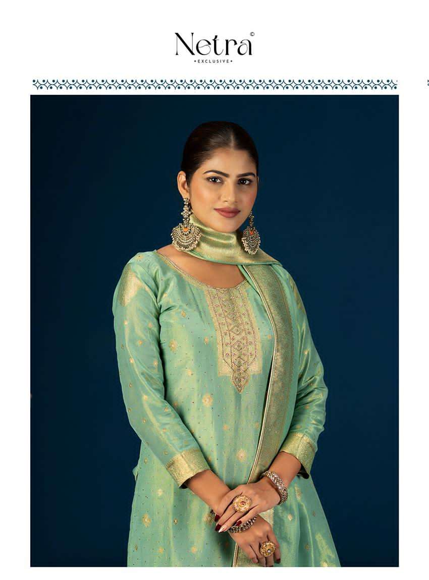 Priya Netra Simmer Pant Style Suits Manufacturer