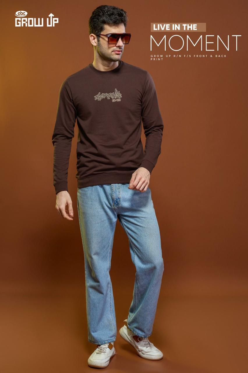 R 1179 Growup Cotton Looper Mens Tshirts Wholesaler Gujarat