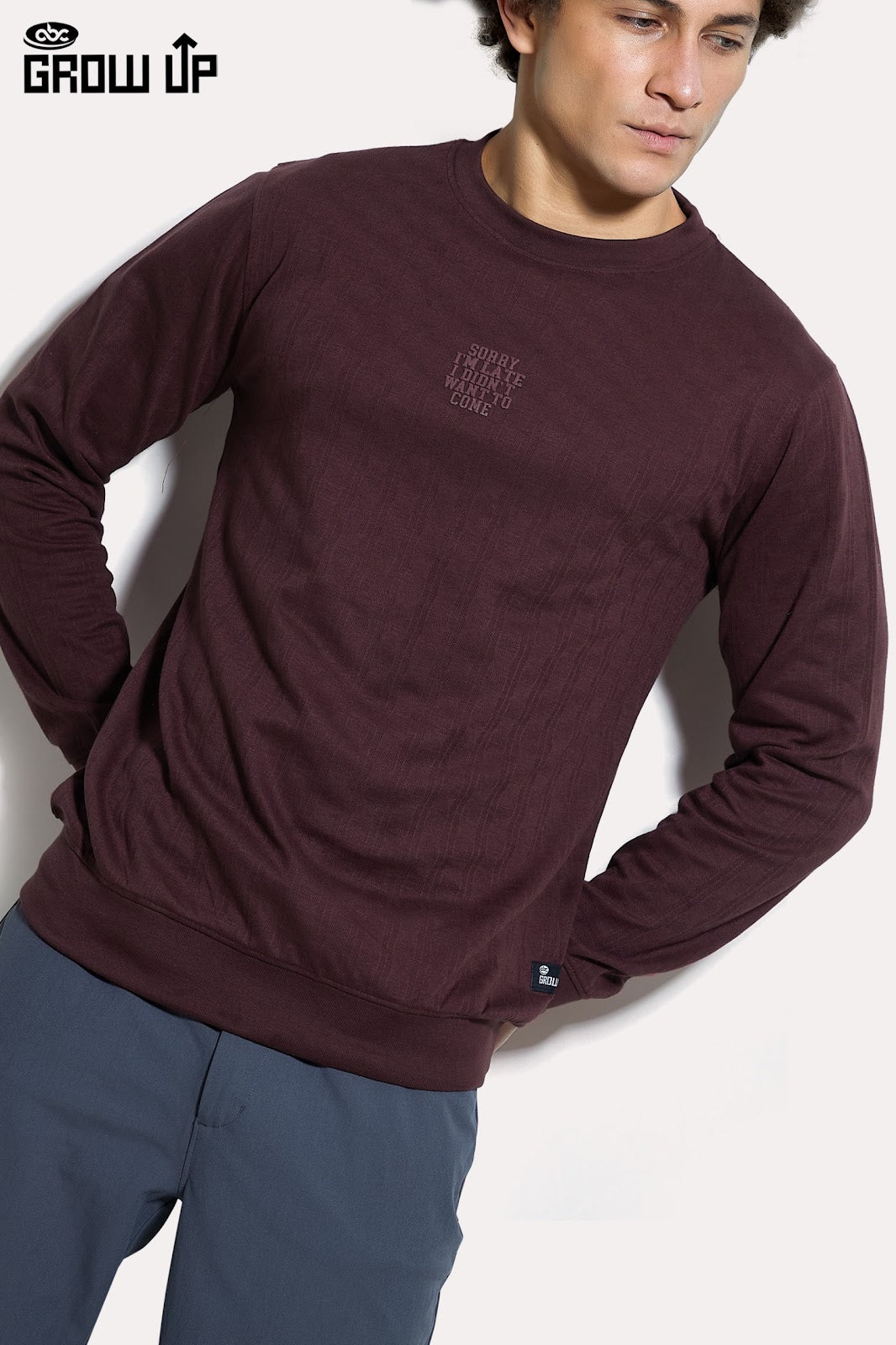 R 1614 Full Sleeves Growup Knit Mens Tshirts Supplier Gujarat