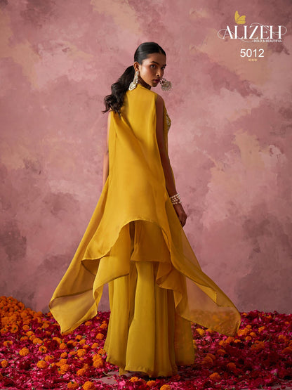 Rang 5012-5013 Alizeh Organza Indo Western Pair Manufacturer