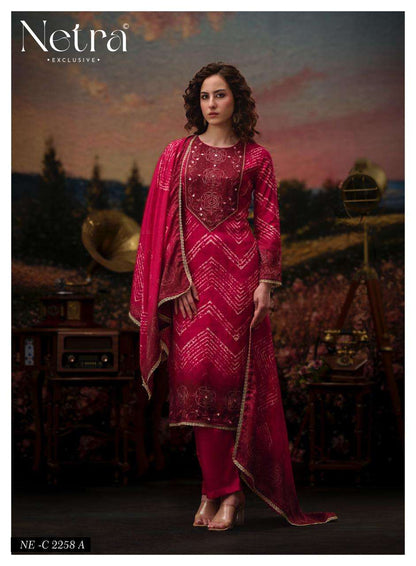 Rinkal Netra Bemberg Pant Style Suits Exporter Gujarat