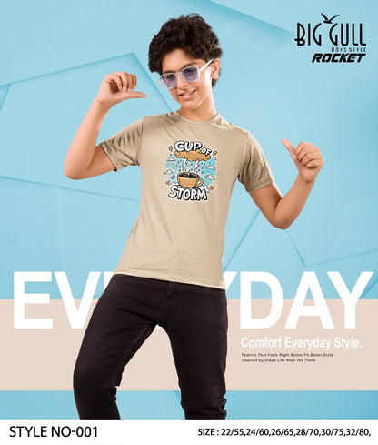 Rocket Big Gull Biowash Boys Tshirt Exporter Gujarat