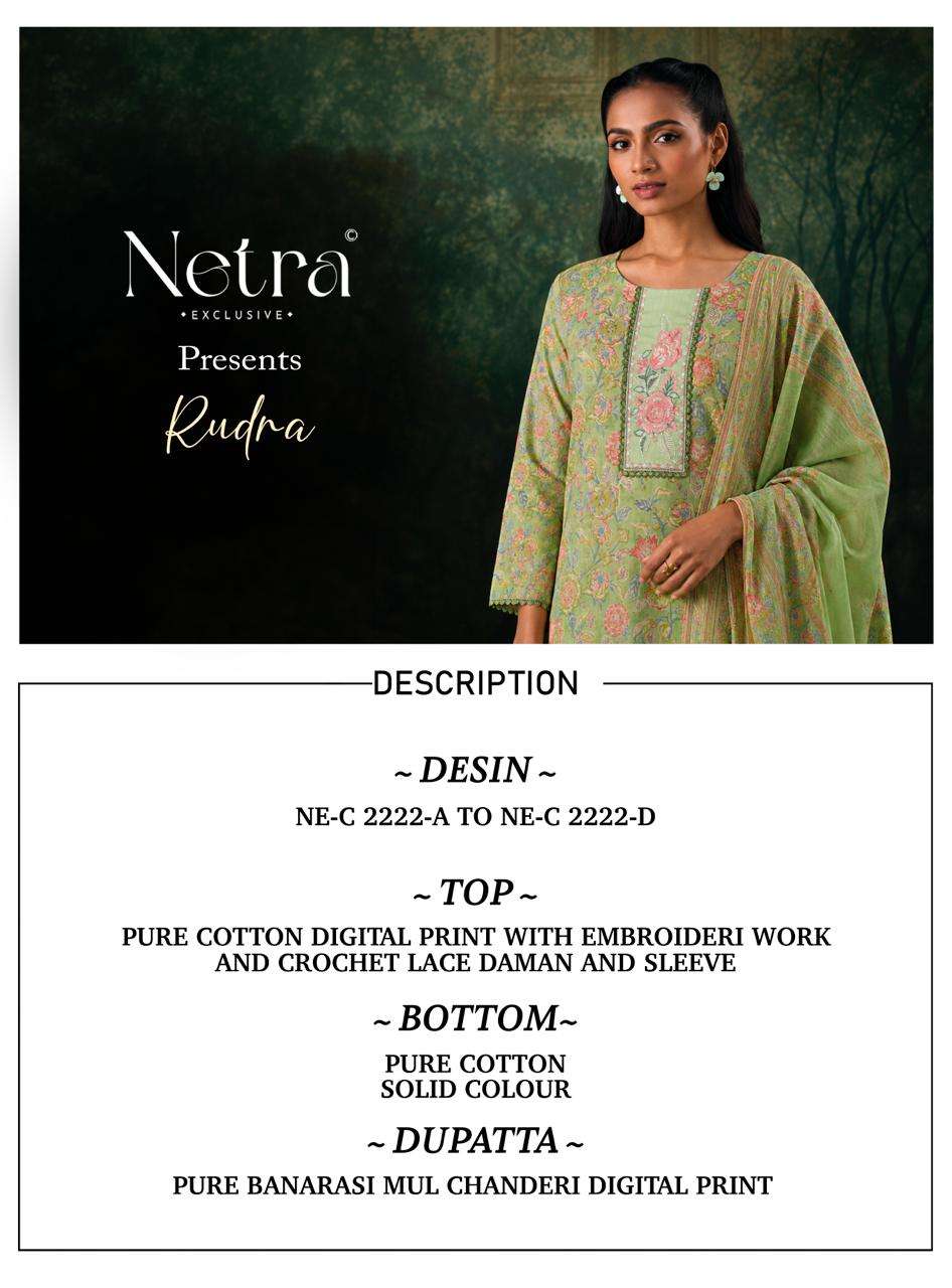 Rudra Netra Cotton Pant Style Suits Wholesaler