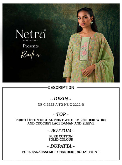 Rudra Netra Cotton Pant Style Suits Wholesaler