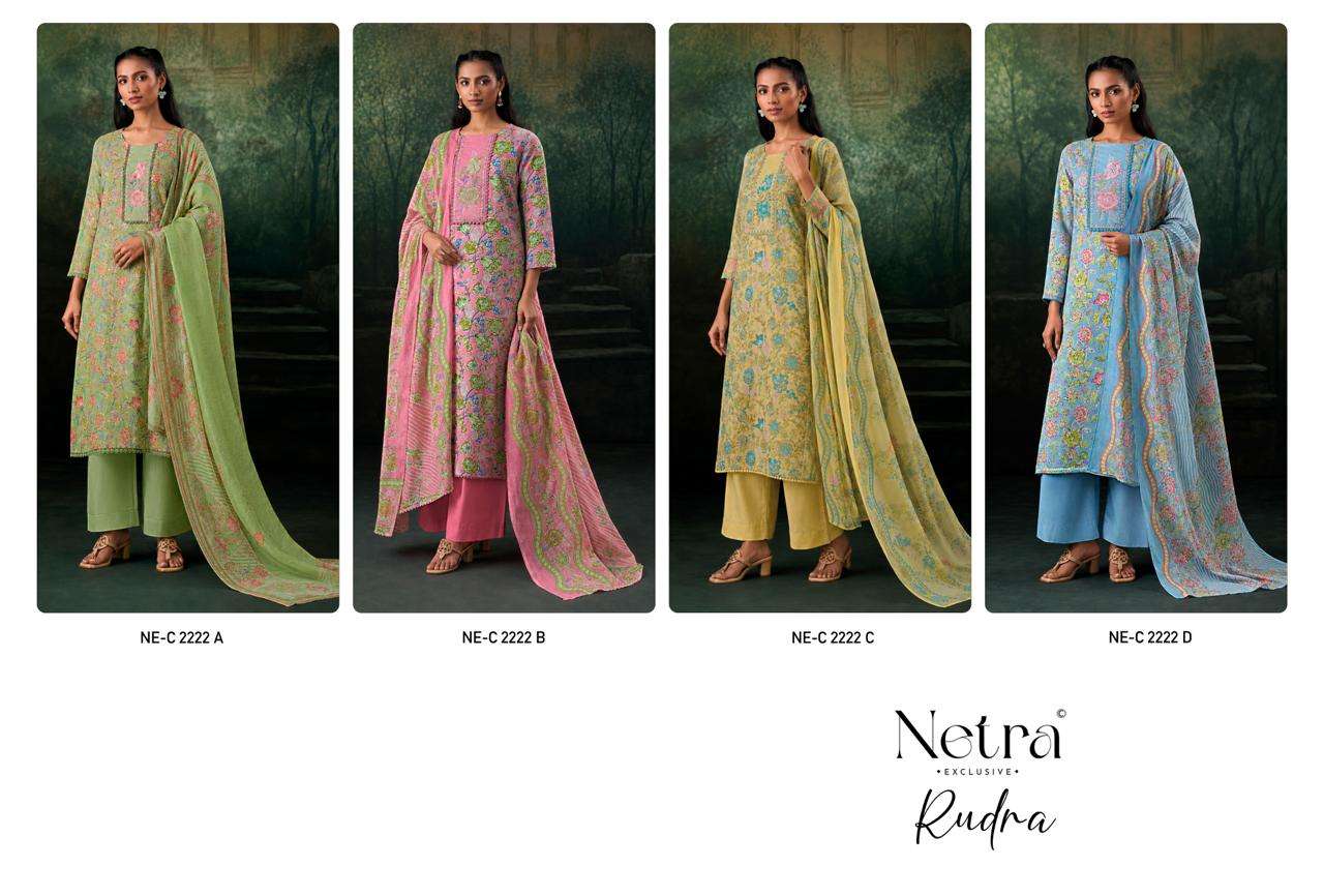 Rudra Netra Cotton Pant Style Suits Wholesaler