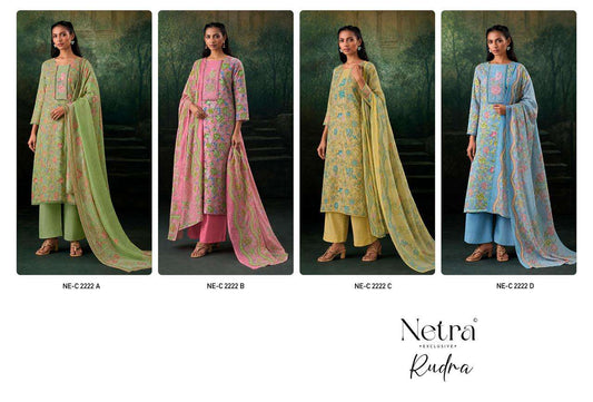 Rudra Netra Cotton Pant Style Suits Wholesaler