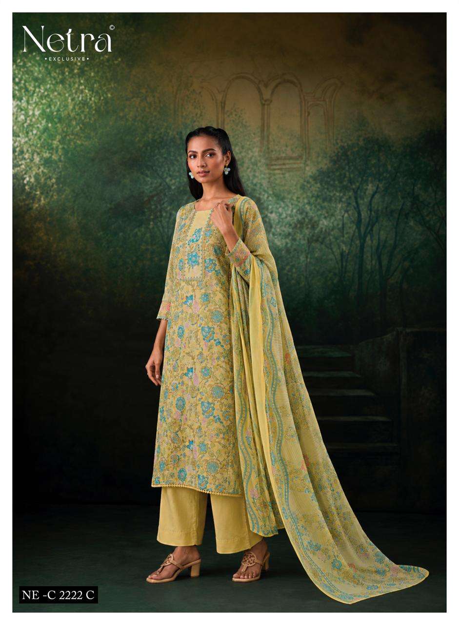 Rudra Netra Cotton Pant Style Suits Wholesaler