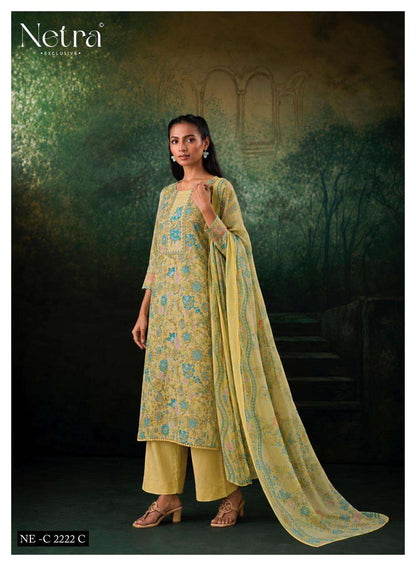 Rudra Netra Cotton Pant Style Suits Wholesaler