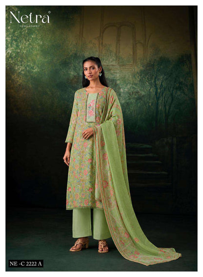 Rudra Netra Cotton Pant Style Suits Wholesaler
