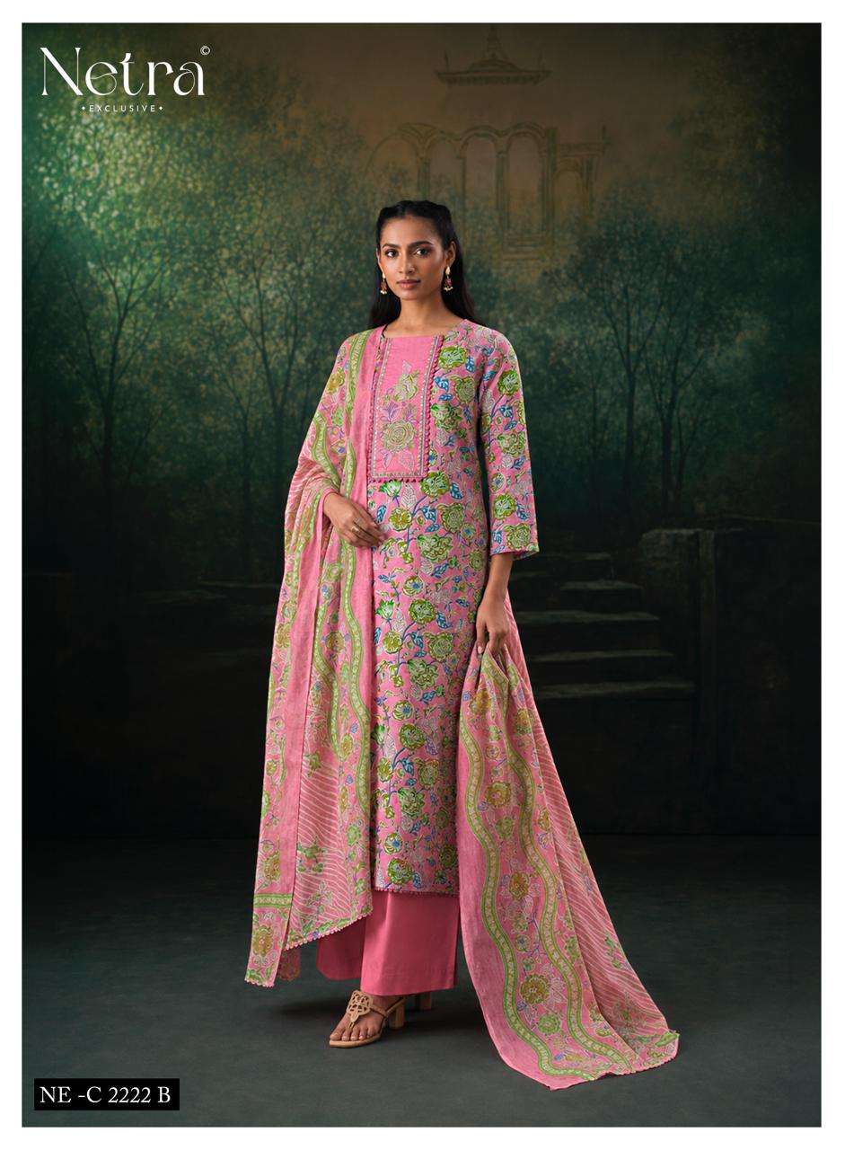 Rudra Netra Cotton Pant Style Suits Wholesaler