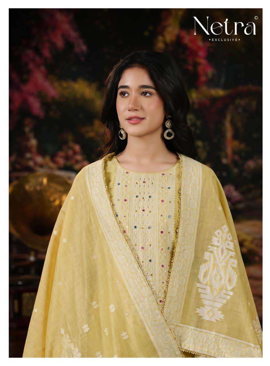 Saiba Netra Pant Style Suits Supplier Ahmedabad