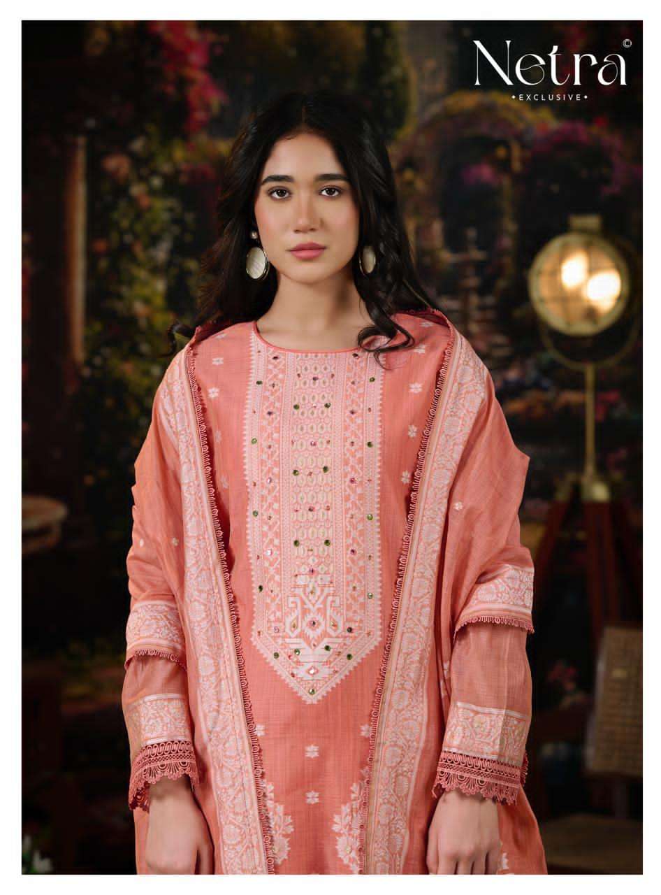 Saiba Netra Pant Style Suits Supplier Ahmedabad