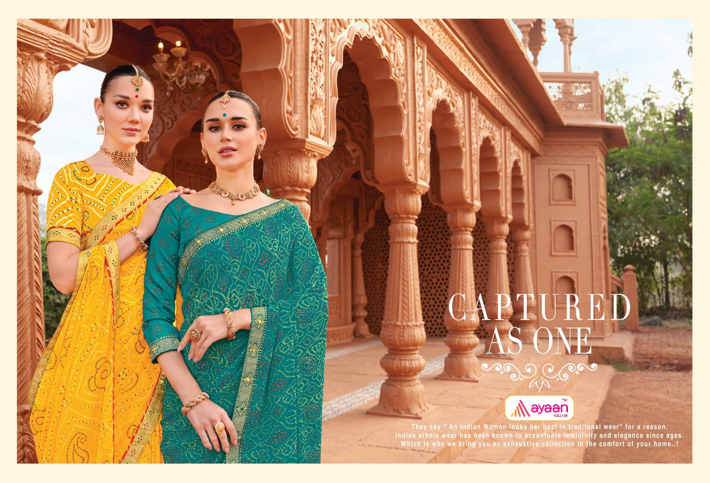 Sanno Ayaan Value Chiffon Sarees Supplier India