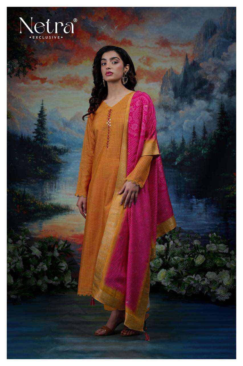 Sayuri Netra Pure Bemberg Pant Style Suits Manufacturer India