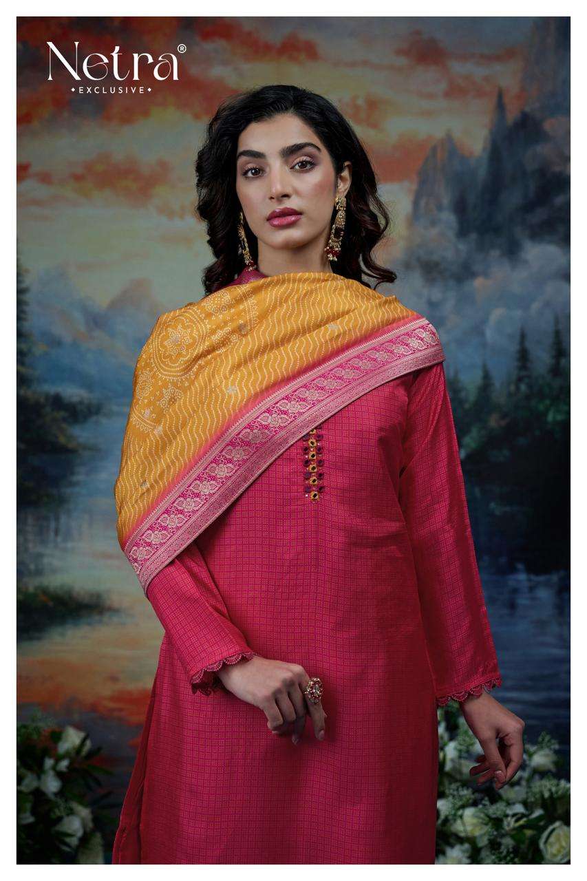 Sayuri Netra Pure Bemberg Pant Style Suits Manufacturer India