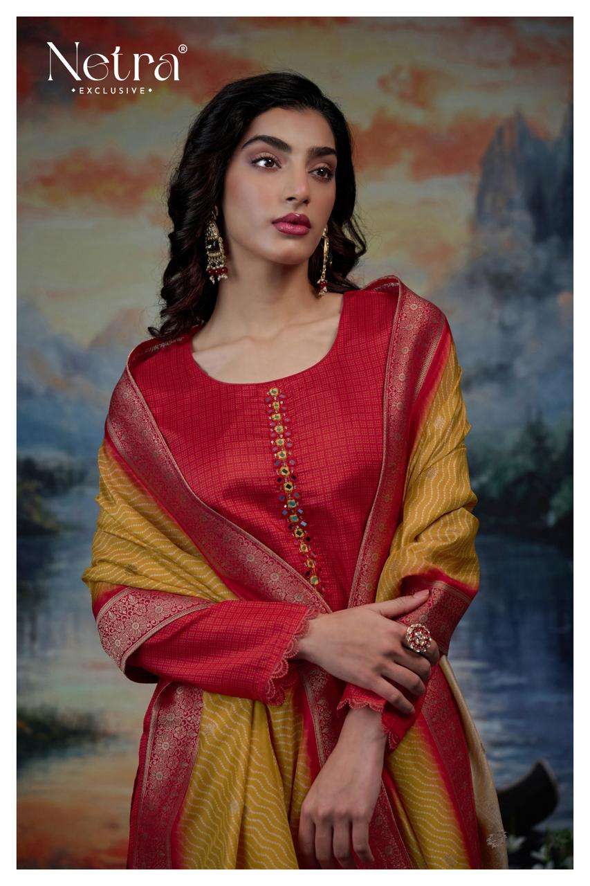 Sayuri Netra Pure Bemberg Pant Style Suits Manufacturer India