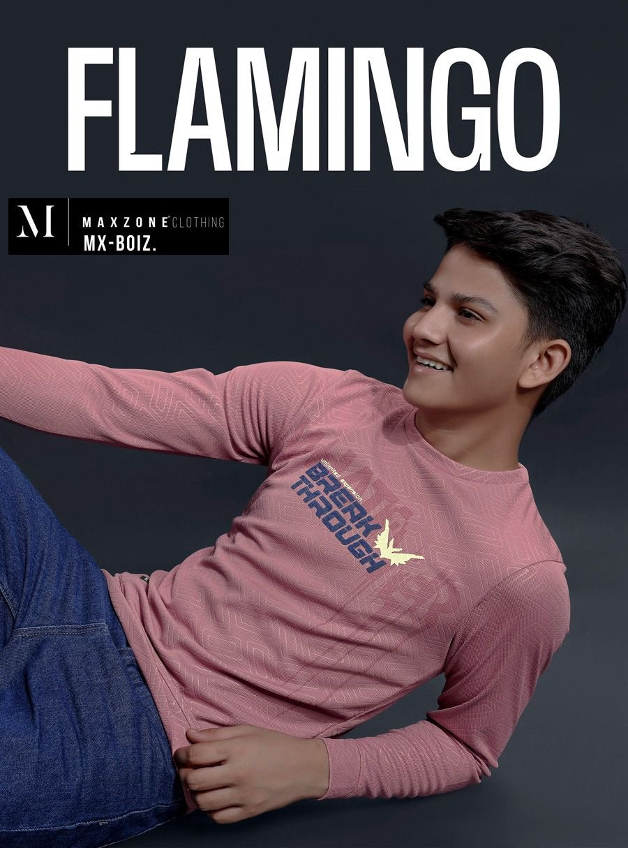 Sds J F 12 A Maxzone Clothing Jacquard Boys Tshirt Exporter Ahmedabad