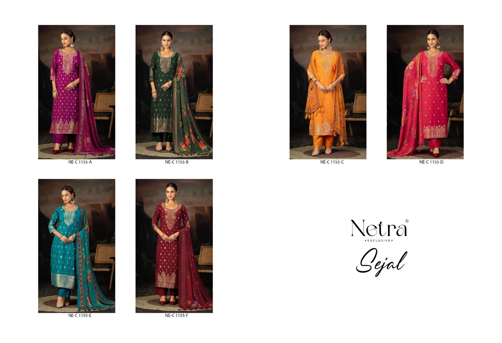 Sejal Netra Pant Style Suits Wholesale Rate