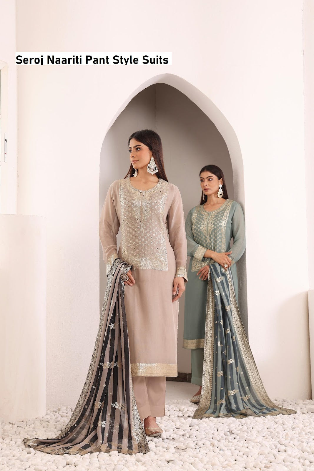 Seroj Naariti Organza Pant Style Suits Manufacturer