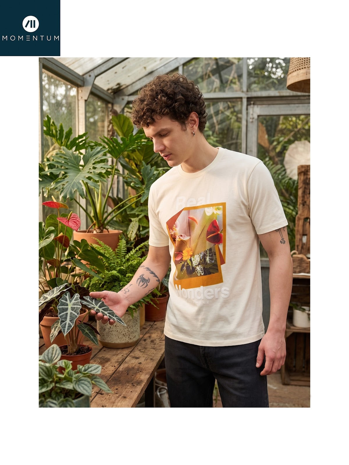 Style Code 224 Momentum Cotton Biowashed Mens Tshirts Supplier