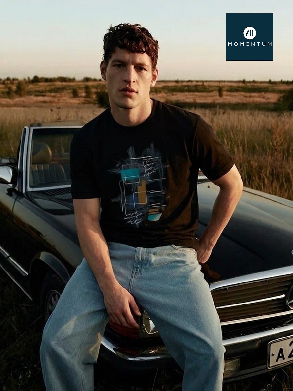 Style Code 237 Momentum Cotton Looper Mens Tshirts Wholesaler Gujarat