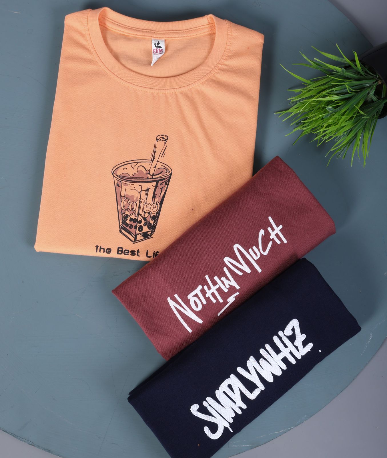 Style No 129 Elite Finch Biowash Mens Tshirts Wholesale Price