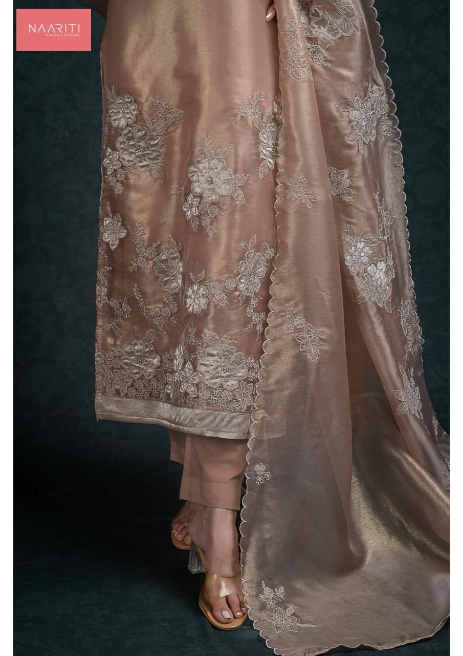 Takshi 128 Naariti Tissue Silk Pant Style Suits Manufacturer Ahmedabad